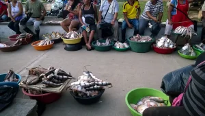Market on the Amazon river