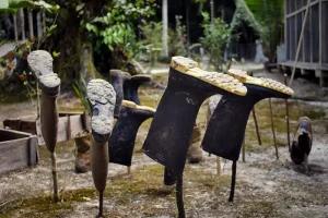 Keeping boots off the ground in the Amazon Jungle