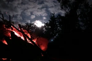 Evening fire