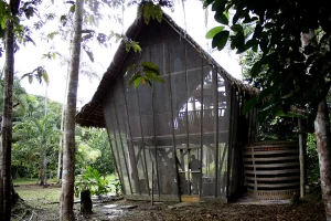 Jungle hut