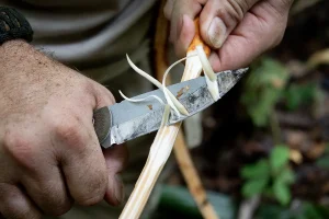 Stripping a vine in the Amazon Jungle